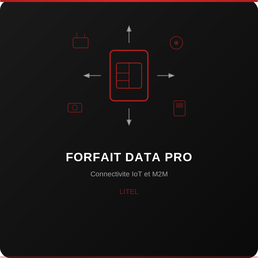 Forfait Mobile Litel Pro Data (Orange, 5 Go, Carte SIM, Oui)