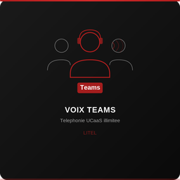 Forfait Voix Teams illimité