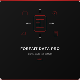 Forfait Mobile Litel Pro Data